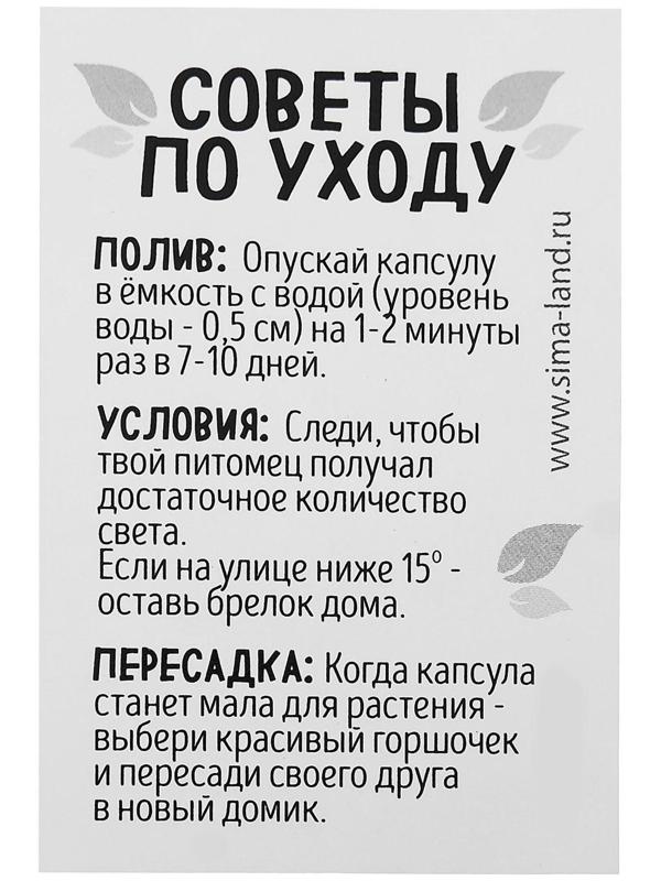 Набор для опытов Живой брелок