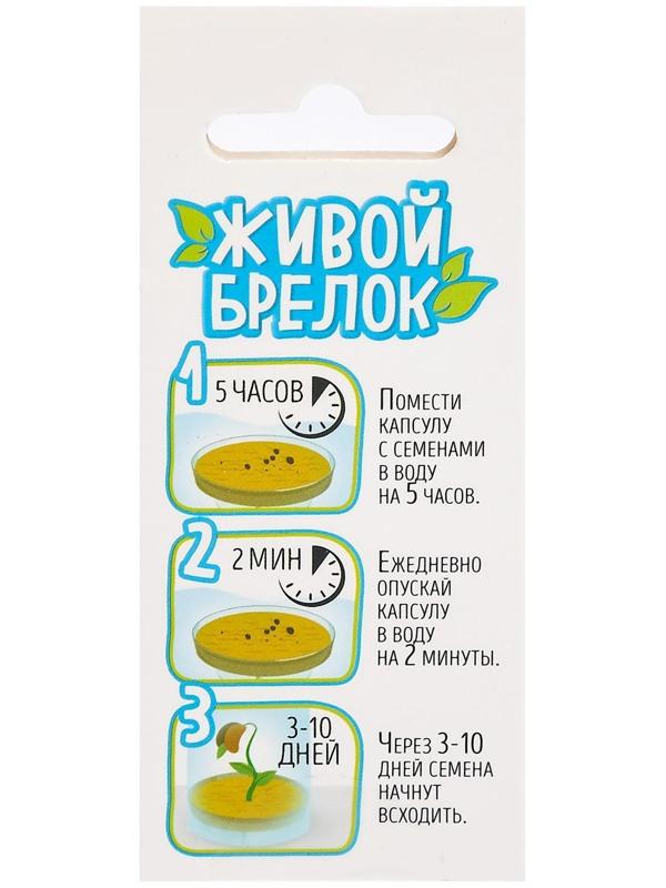 Набор для опытов Живой брелок