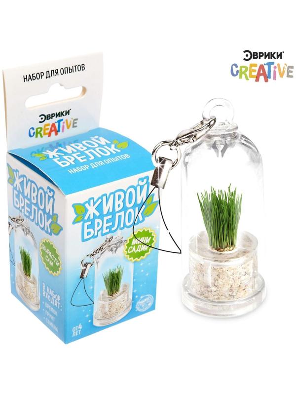 Набор для опытов Живой брелок