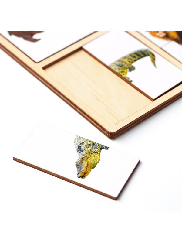 Картинки-половинки «Животные Африки»