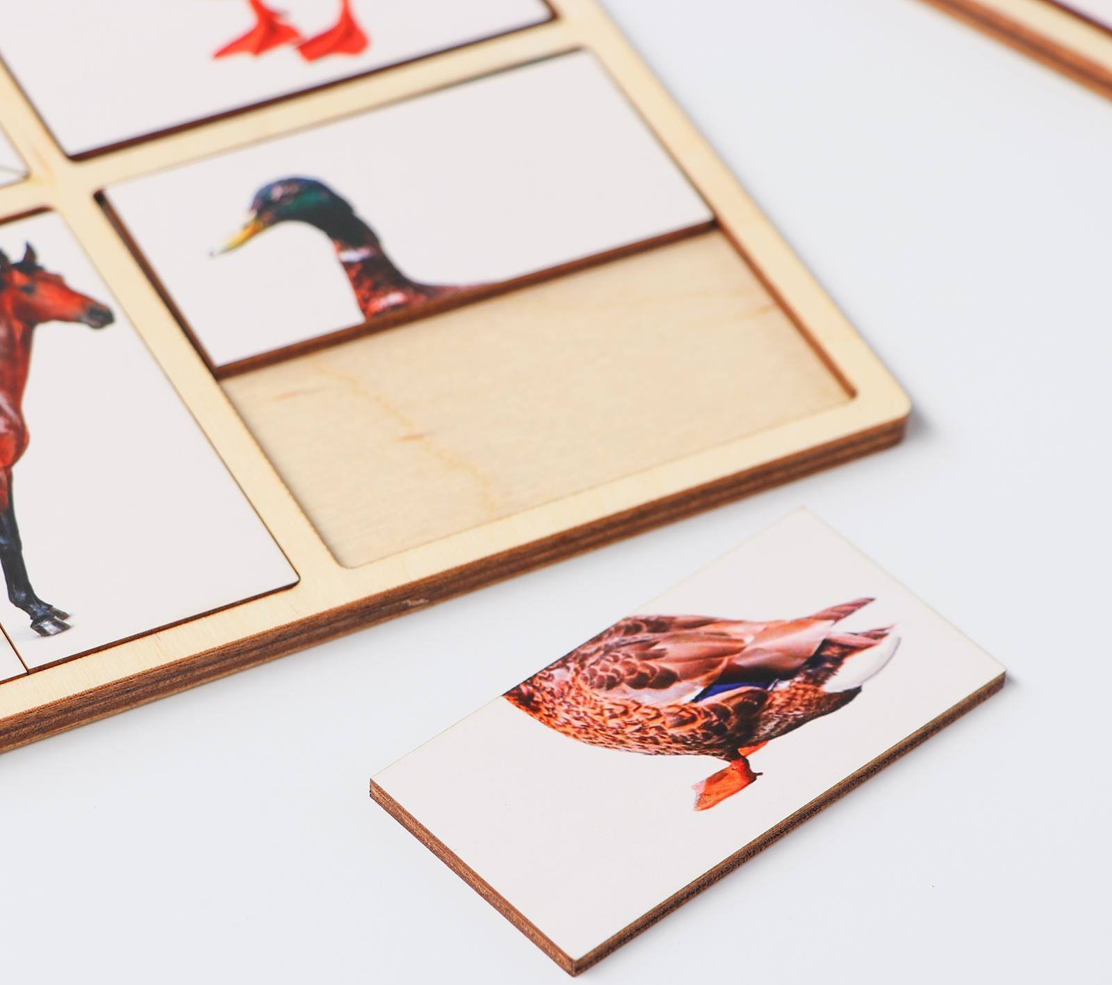 Картинки-половинки «Домашние животные»