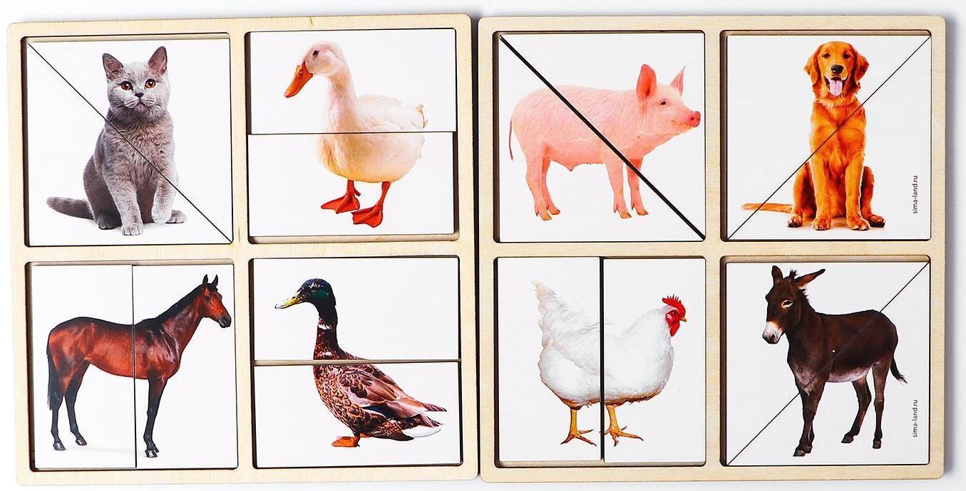 Картинки-половинки «Домашние животные»