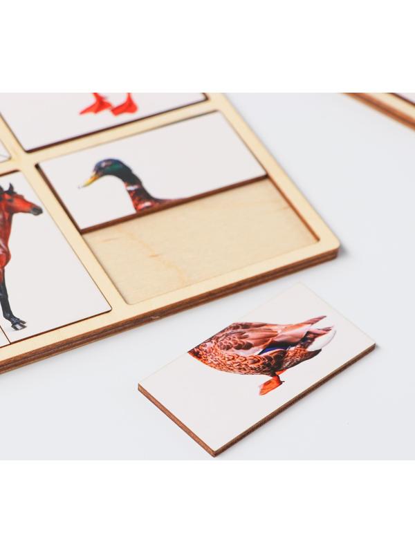 Картинки-половинки «Домашние животные»