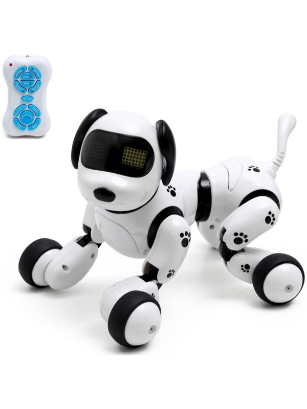 Робот - собака, радиоуправляемый «Далматинец», русское озвучивание, работает от аккумулятора