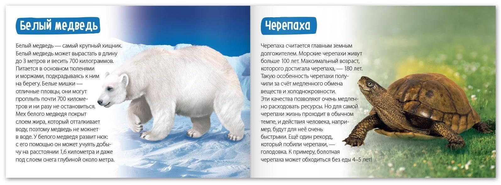 Обучающая книга «Животные-рекордсмены», 20 стр.