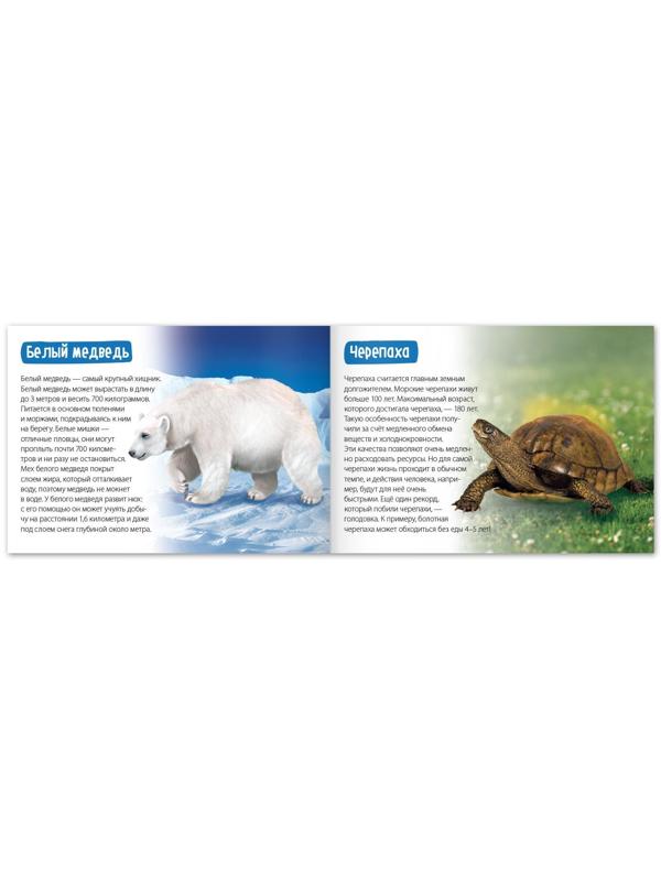 Обучающая книга «Животные-рекордсмены», 20 стр.