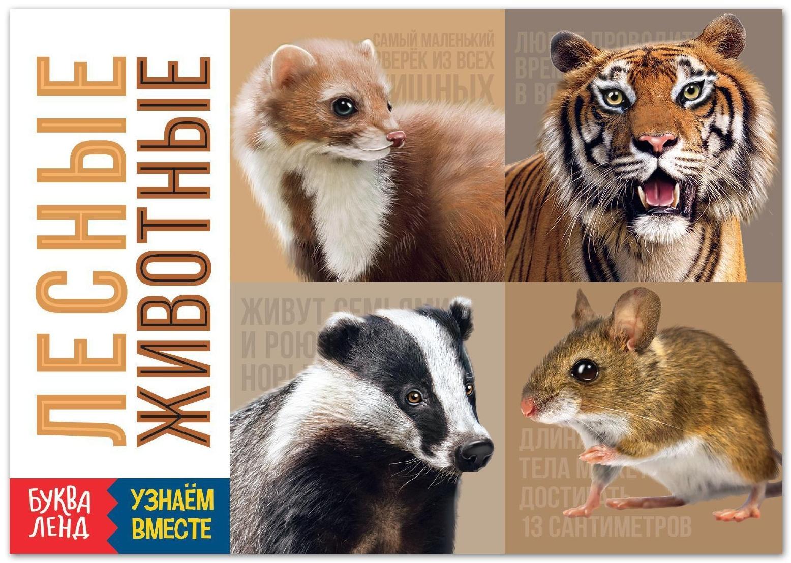 Обучающая книга «Лесные животные», 20 стр.