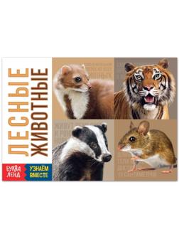 Обучающая книга «Лесные животные», 20 стр.