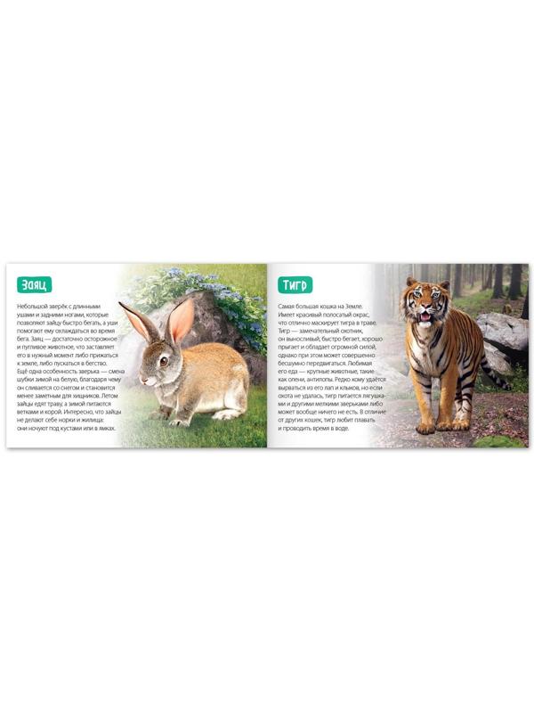 Обучающая книга «Лесные животные», 20 стр.