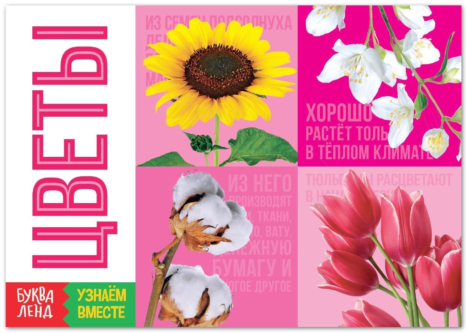 Обучающая книга «Цветы», 20 стр.