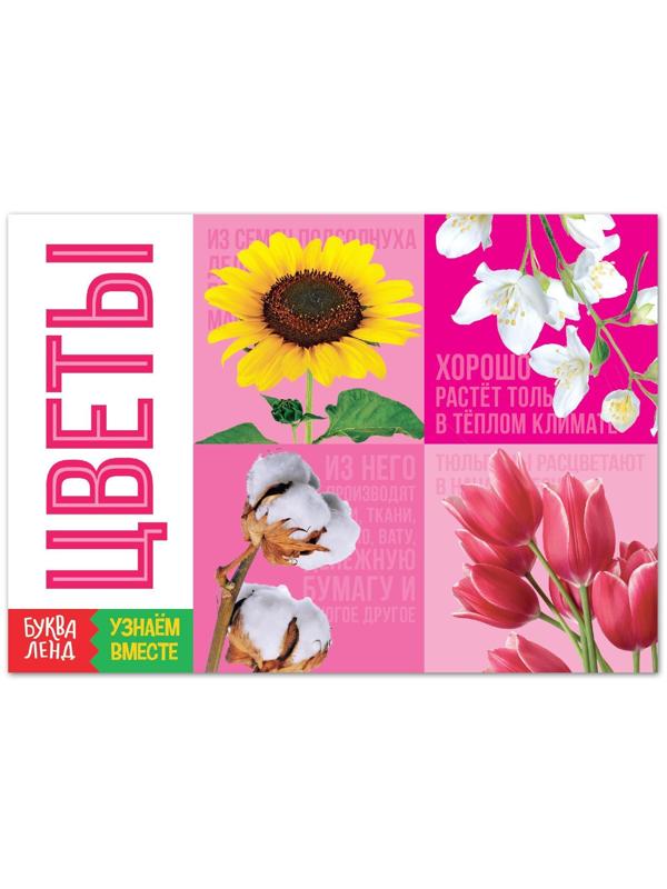 Обучающая книга «Цветы», 20 стр.