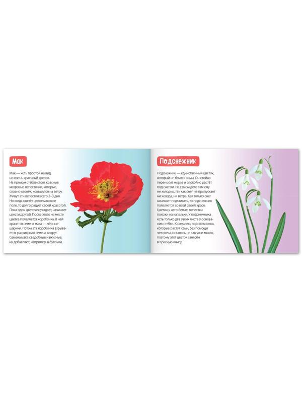 Обучающая книга «Цветы», 20 стр.