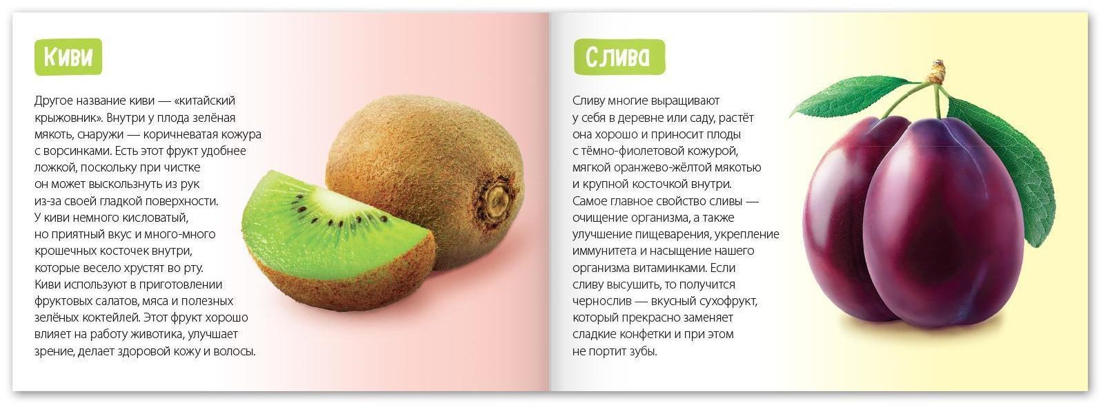 Обучающая книга «Сочные фрукты», 20 стр.