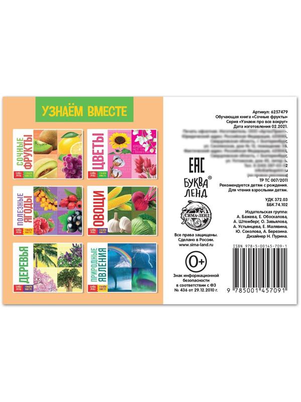 Обучающая книга «Сочные фрукты», 20 стр.