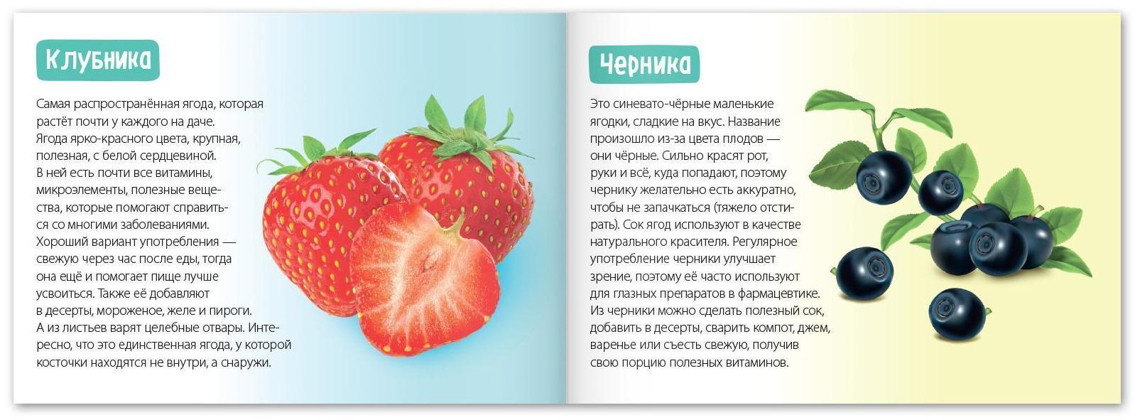 Обучающая книга «Полезные ягоды», 20 стр.