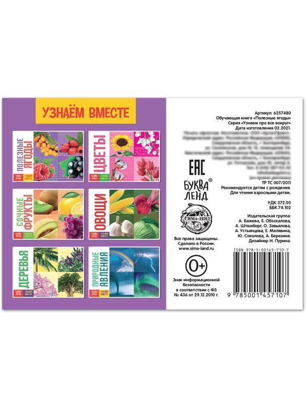 Обучающая книга «Полезные ягоды», 20 стр.