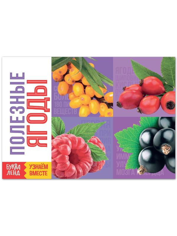 Обучающая книга «Полезные ягоды», 20 стр.