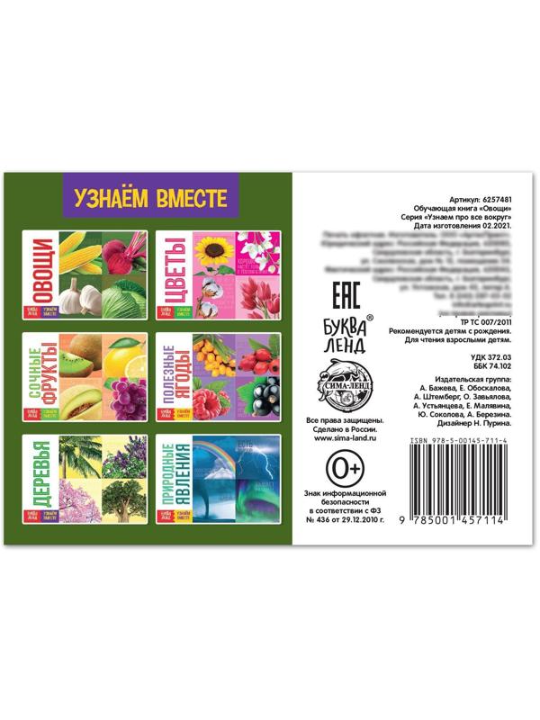 Обучающая книга «Овощи», 20 стр.