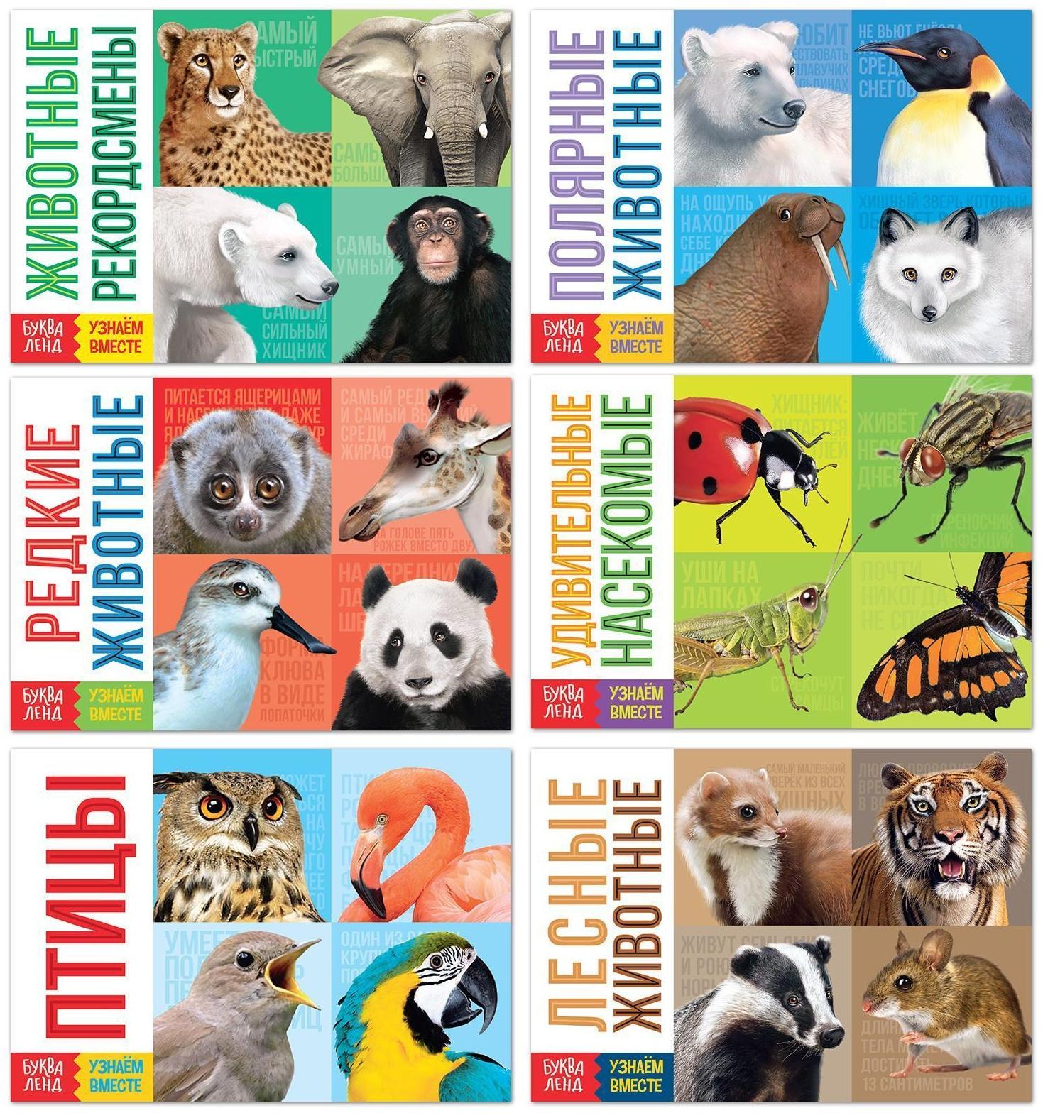 Обучающие книги набор «Удивительный мир» 6 шт. по 20 стр.