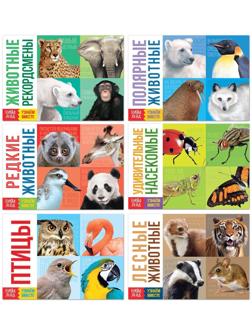 Обучающие книги набор «Удивительный мир» 6 шт. по 20 стр.