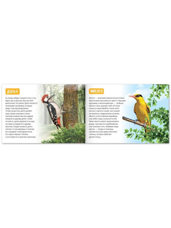 Обучающие книги набор «Удивительный мир» 6 шт. по 20 стр.