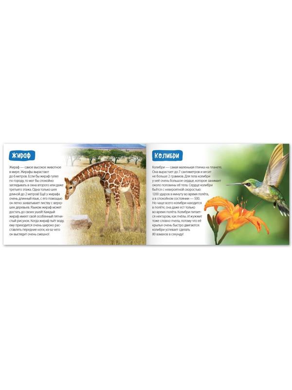 Обучающие книги набор «Удивительный мир» 6 шт. по 20 стр.