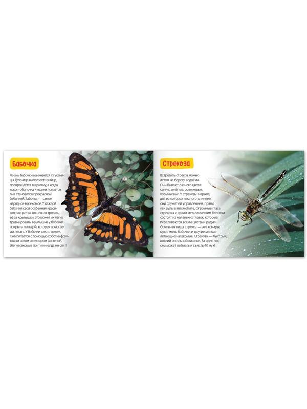 Обучающие книги набор «Удивительный мир» 6 шт. по 20 стр.