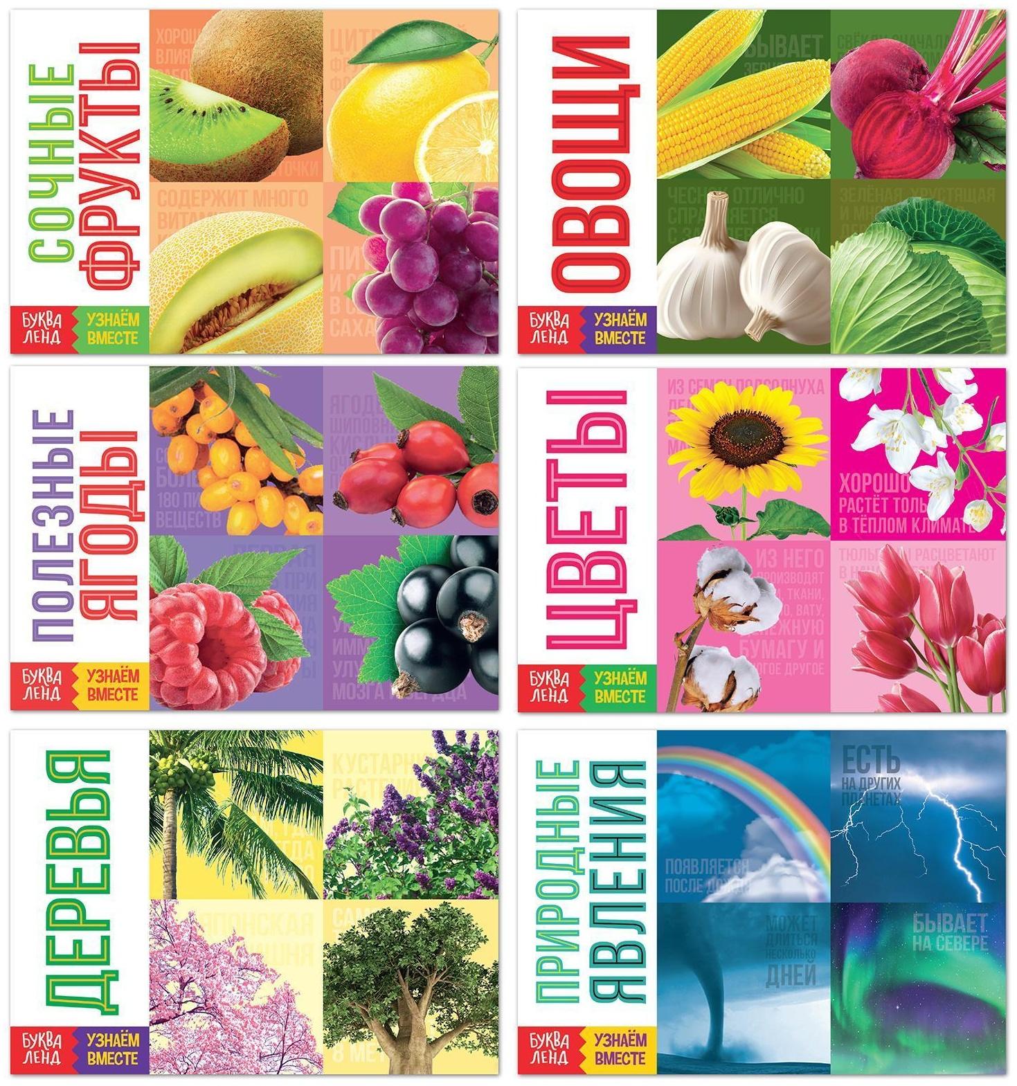 Обучающие книги набор «Про всё на свете» 6 шт. по 20 стр.