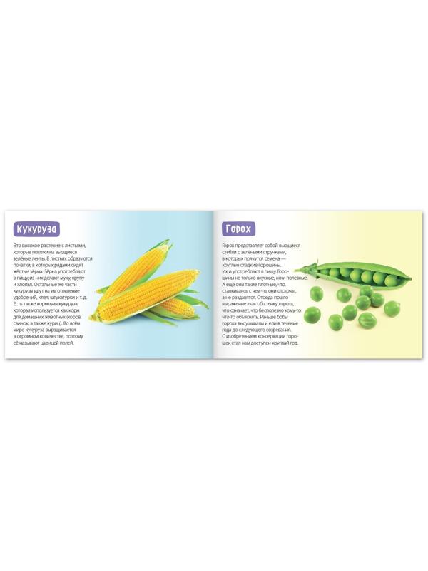 Обучающие книги набор «Про всё на свете» 6 шт. по 20 стр.