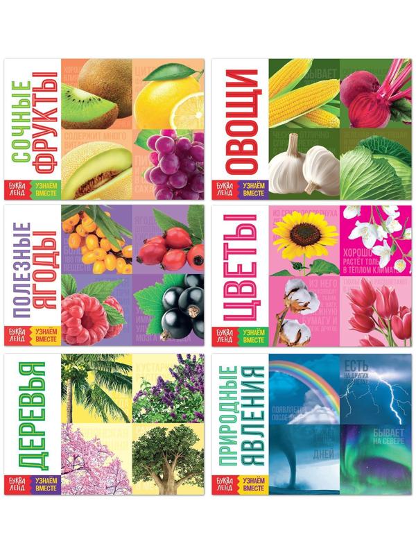 Обучающие книги набор «Про всё на свете» 6 шт. по 20 стр.