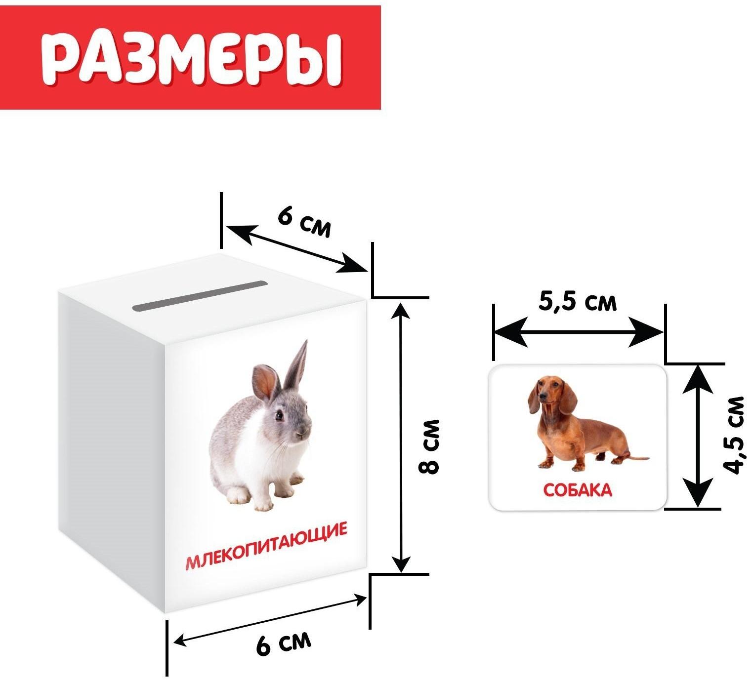 Сортер-копилка «Животные» по методике Г. Домана