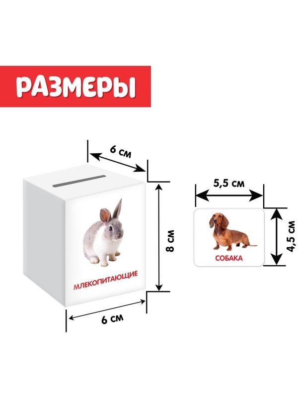 Сортер-копилка «Животные» по методике Г. Домана