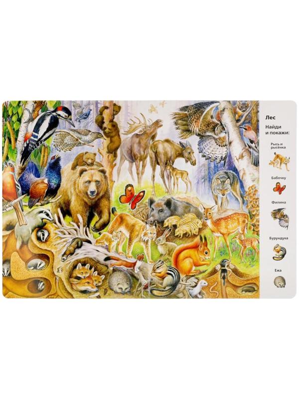 «Найди и покажи. Животные», Виммельбух