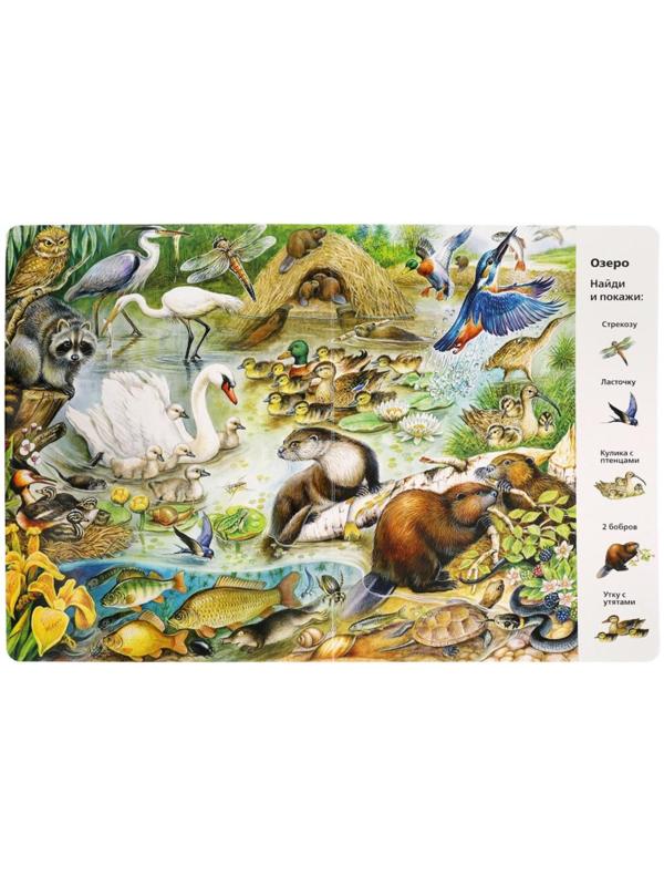 «Найди и покажи. Животные», Виммельбух