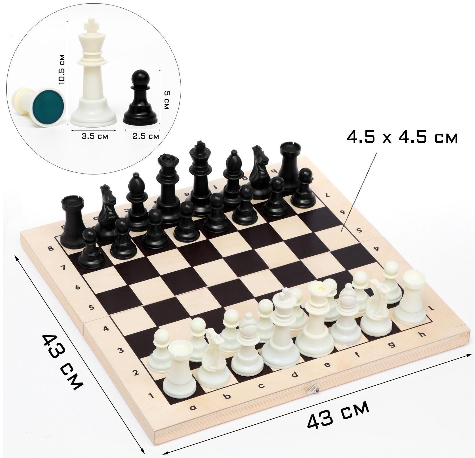 Шахматы турнирные, доска дерево 43 х 43 см, фигуры пластик, король h=10.5 см, пешка h=5 см