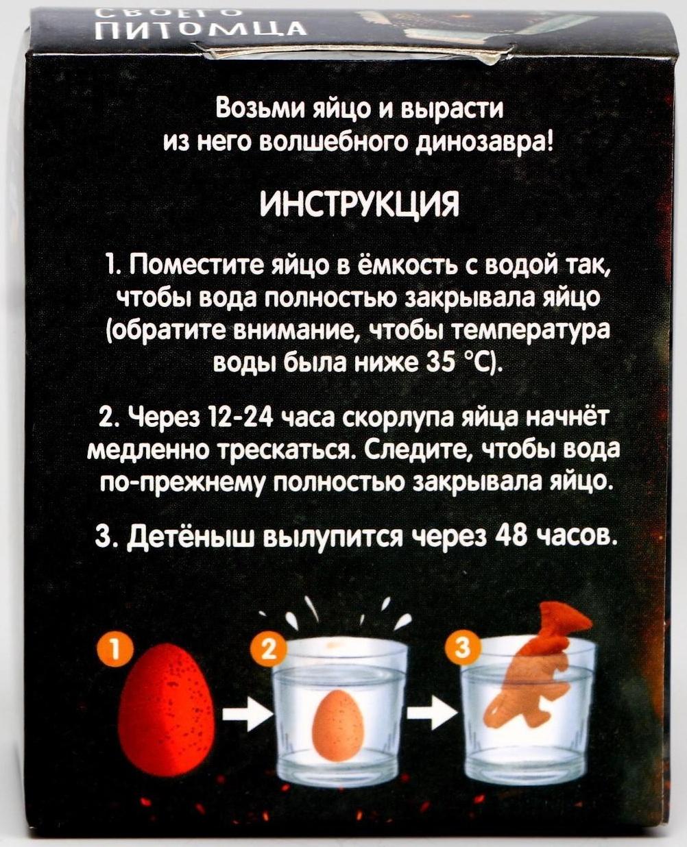 Набор для творчества. Вырасти своего питомца RAWR