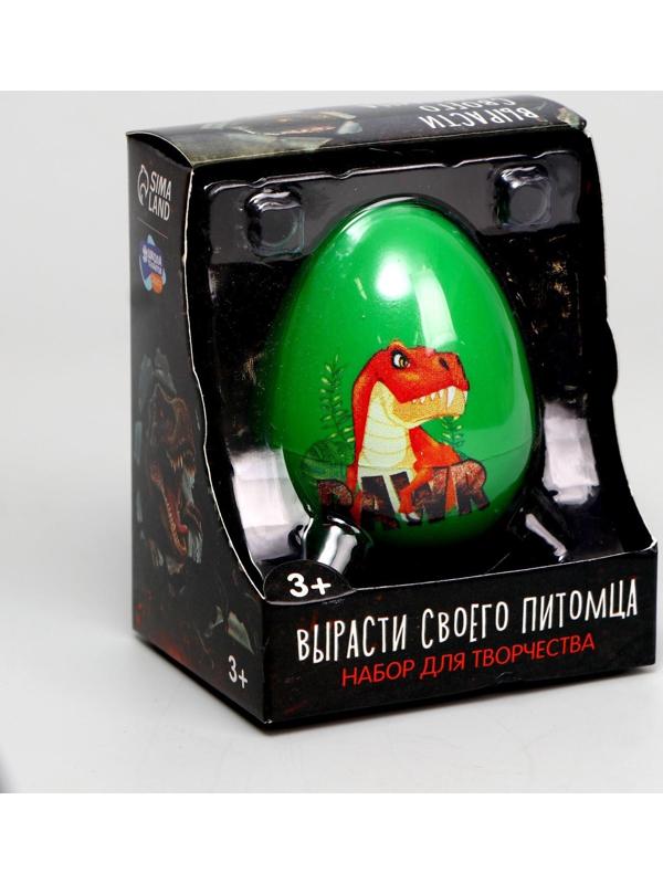 Набор для творчества. Вырасти своего питомца RAWR