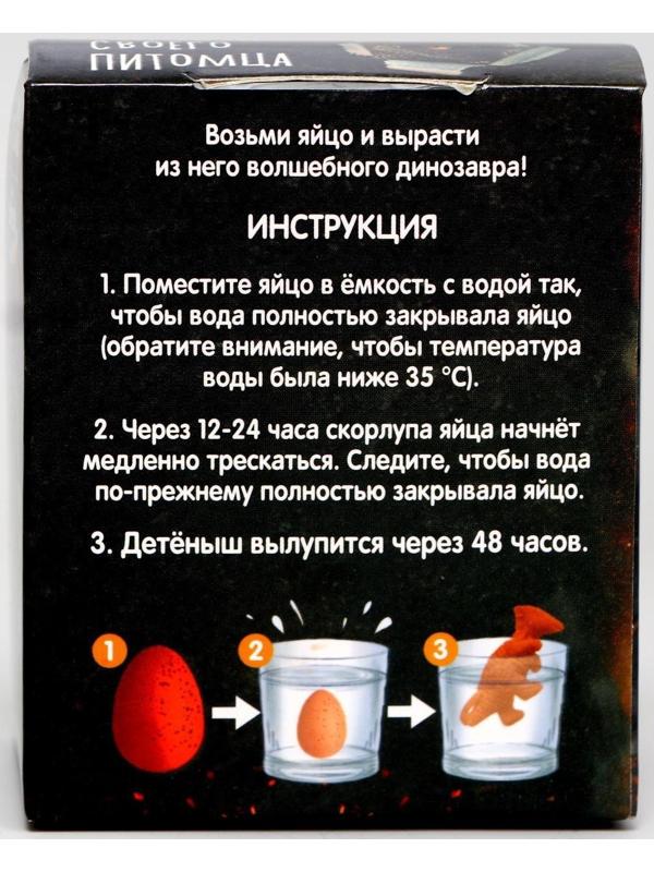 Набор для творчества. Вырасти своего питомца RAWR