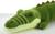 Мягкая игрушка «Крокодил», цвета МИКС 100 см