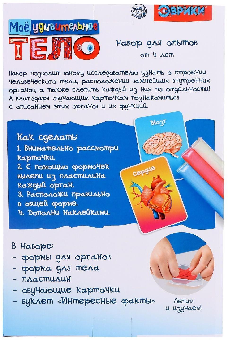 Набор для опытов «Моё удивительное тело»