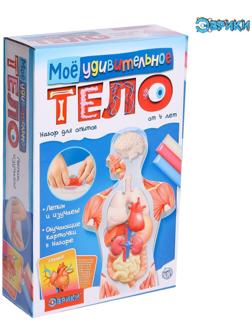 Набор для опытов «Моё удивительное тело»