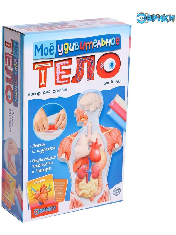Набор для опытов «Моё удивительное тело»