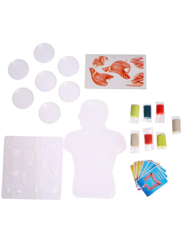 Набор для опытов «Моё удивительное тело»