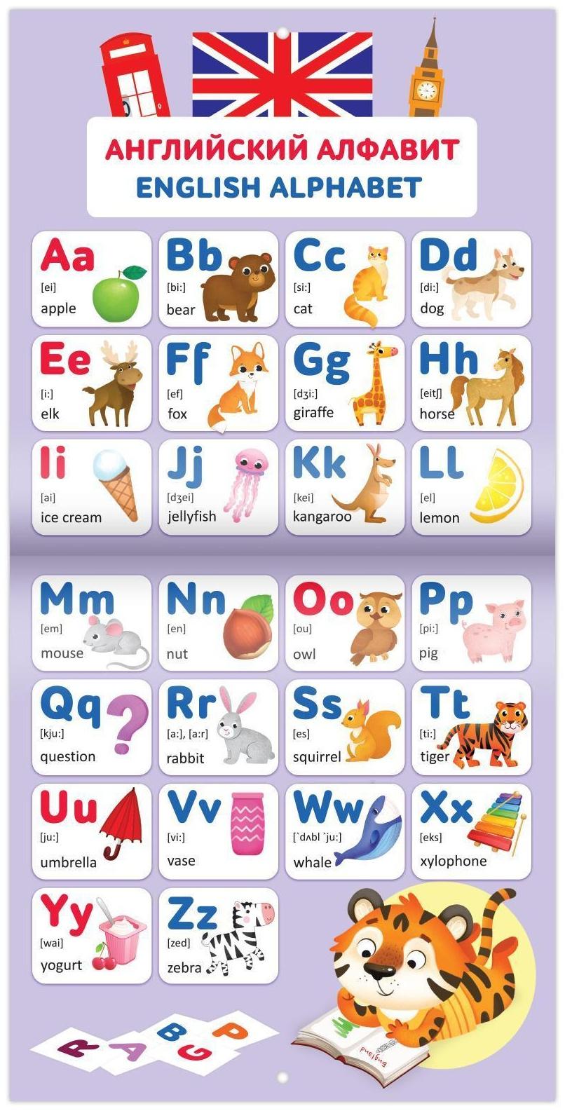 Обучающие плакаты «English. Английский язык», 28 стр.