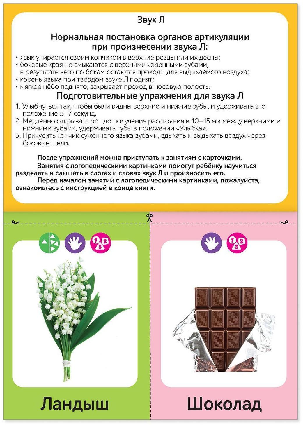 Набор обучающих книг «Логопедические картинки», 4 шт. по 24 стр.