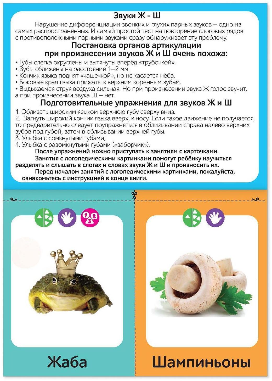 Набор обучающих книг «Логопедические картинки», 4 шт. по 24 стр.