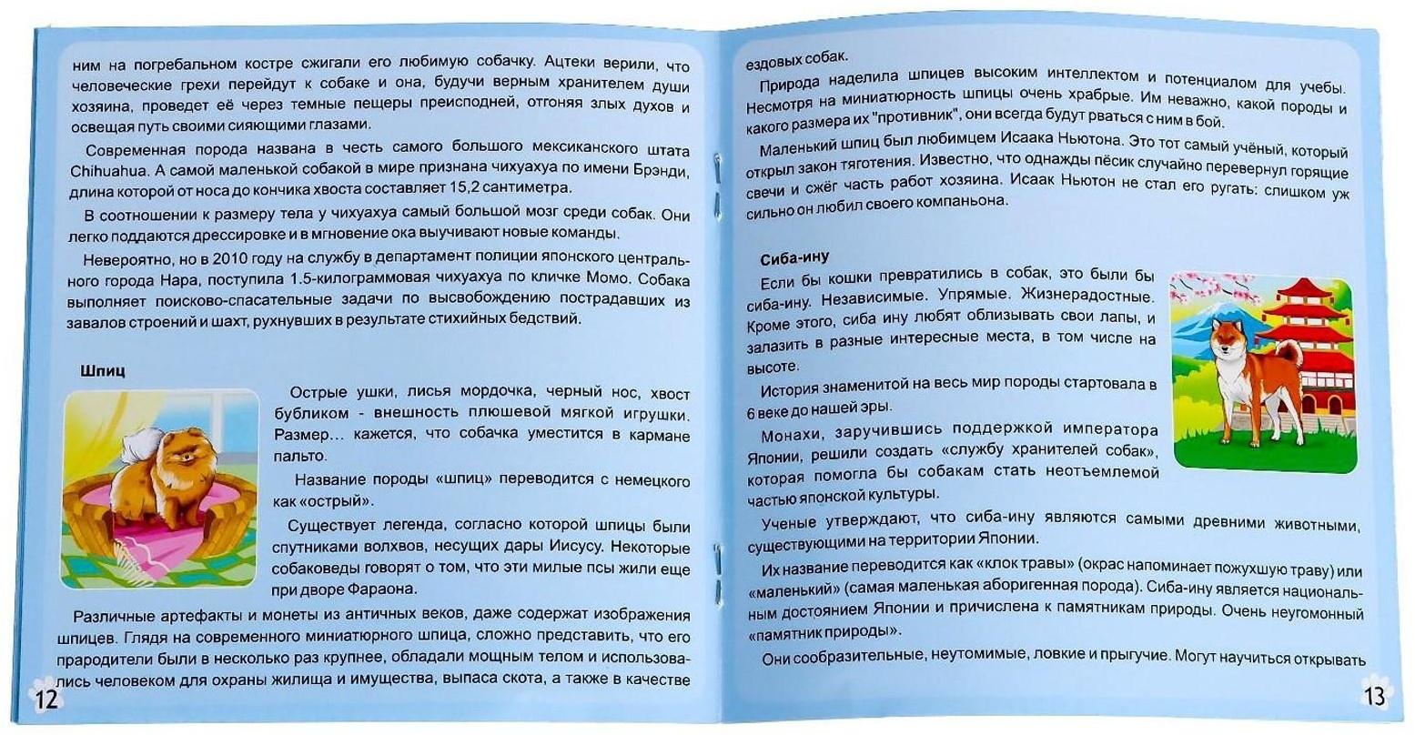 Мемо «Собаки»