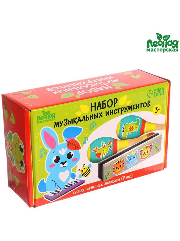 Музыкальные инструменты «Весело поём»