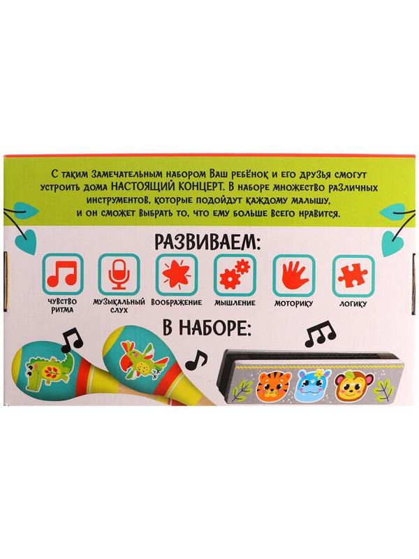 Музыкальные инструменты «Весело поём»