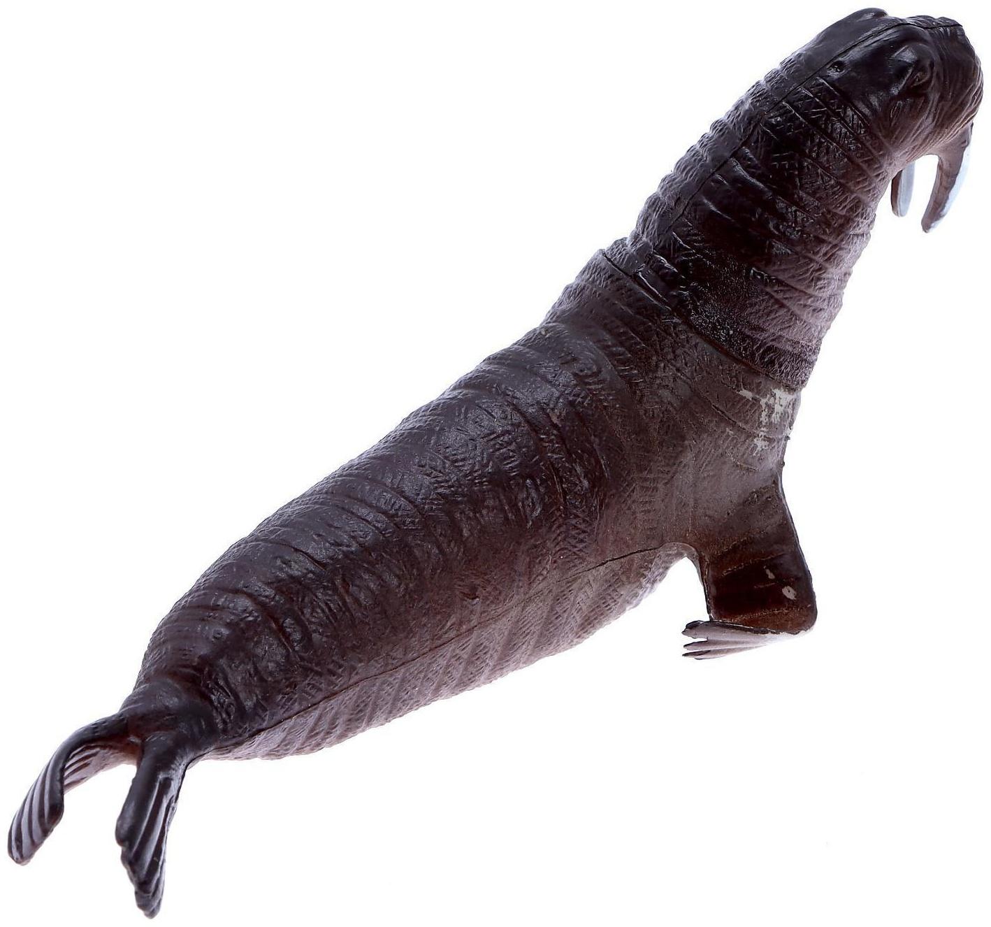 Набор морских животных «Четыре друга», 4 штуки